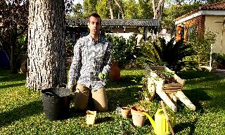 Vídeo para aprender a germinar semillas de Mimosa.
Trabajo de la asignatura "