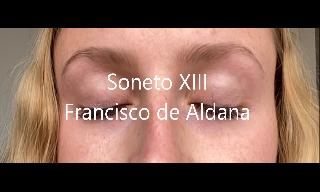 Videopoema del soneto XIII de Francisco de Aldana, dedicado al dolor de la partida de Dam&