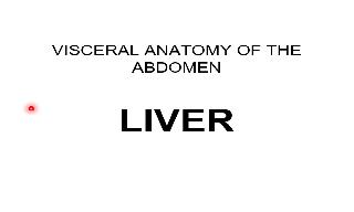 Recorded explanation of the anatomy of the liver. Corresponding to the Visceral Anatomy le