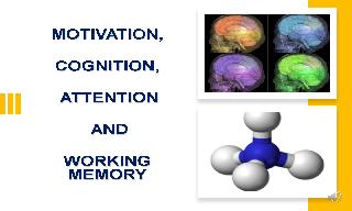 MOTIVATION, COGNITION, ATTENTION AND WORKING MEMORY
