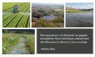 Andreu Rico. Risk assessment of chemicals on aquatic ecosystems: from hazardous contaminan