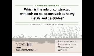 Nuria Carabal, Eric Puche and Maria A. Rodrigo. Which is the role of constructed wetlands 