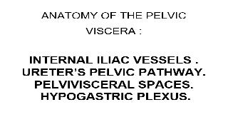Recorded explanation of the anatomy of the internal iliac vessels, the pelvic pathway of t
