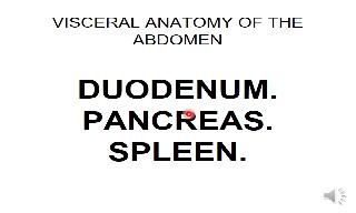 Recorded explanation of the anatomy of the duodenum. Corresponding to the Visceral Anatomy