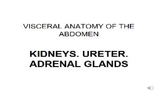 Recorded explanation of the anatomy of the kidneys, from the academic programme of Viscera