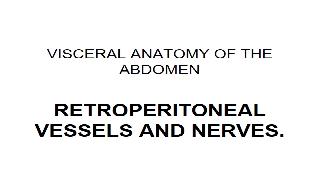 Second part of the recorded explanation of the general organization of the abdomen, and th