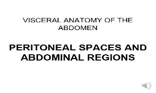 Recorded explanation of the anatomy of the peritoneal spaces, with a detailed explanation 