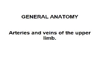 Recorded explanation of the irrigation of the upper limb, from the academic programme of G